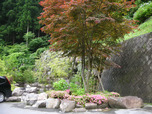 紅椿の湯(山梨県道志村小椿)