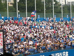 東京ヤクルト×横浜(神宮球場)
