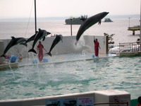 のとじま水族館