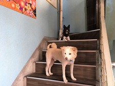 サウナ錦糸町(東京都墨田区錦糸)