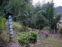 山の寺寺院群瞑想の道