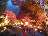 富士河口湖紅葉まつり(もみじ回廊)