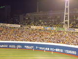 横浜×阪神(横浜スタジアム)