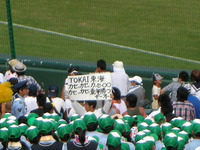 東海大相模アルプススタンド