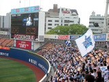 横浜×北海道日本ハム(横浜スタジアム)