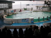 のとじま水族館