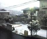 みなみたいくぼ公園