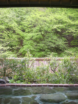 ウェルキャンプ西丹沢(山北町中川)