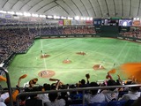 巨人×横浜(東京ドーム)