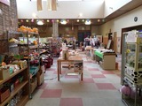 こだま温泉ファミリープラザ(埼玉県本庄市児玉町蛭川)
