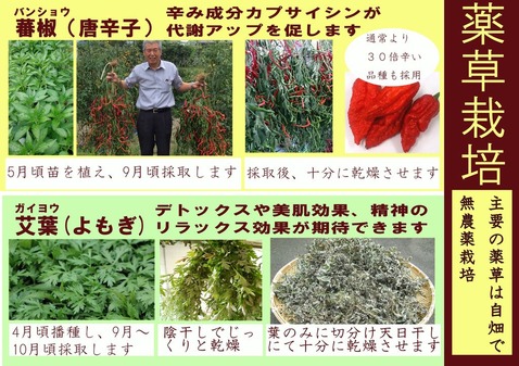 健康ランド&ホテル スターらんど(山梨県都留市下谷)