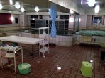 カプセルインサウナ東京(さいたま市大宮区仲町)