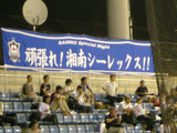 湘南シーレックス×東北楽天(横須賀スタジアム)