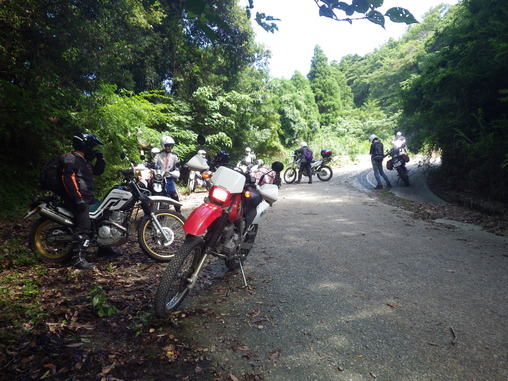 IMGP8173