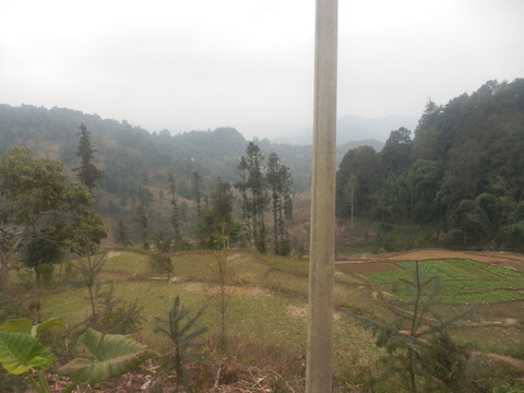 P1200806