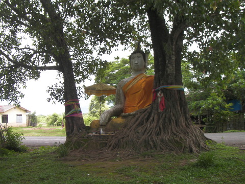 SANY0031
