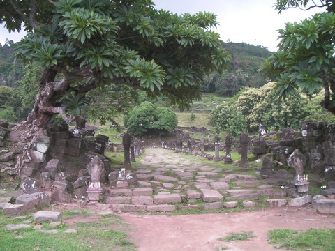 SANY0046