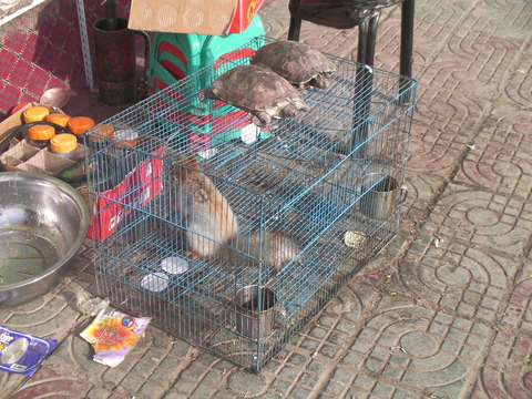 SANY0198