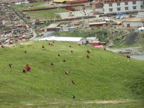 P8050192