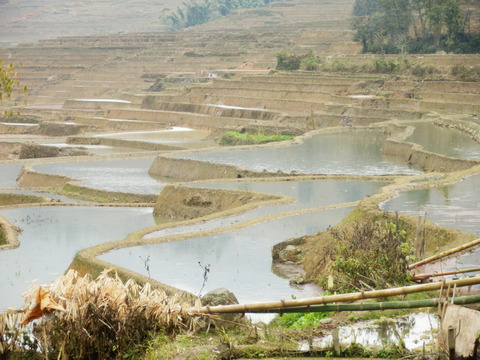 P1150210