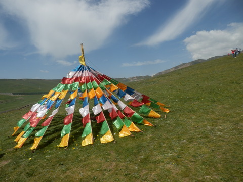 P7150805