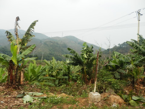 P1160311