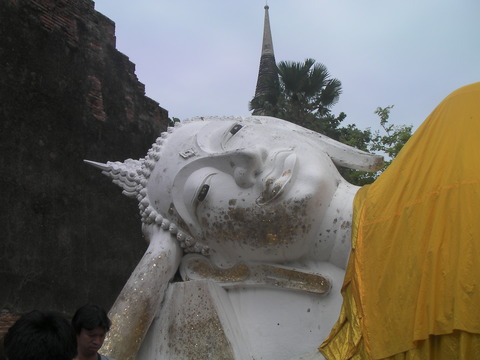 SANY0161