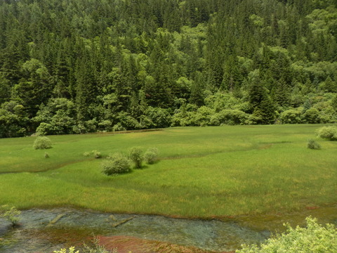 P7090094