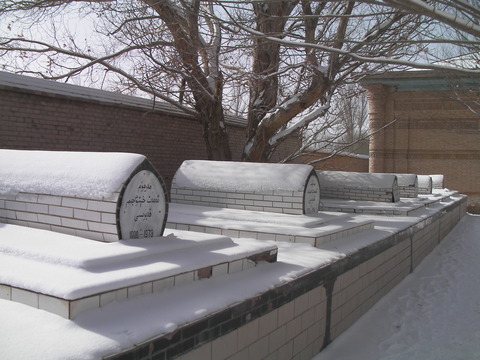 SANY0122