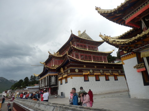 P7110569