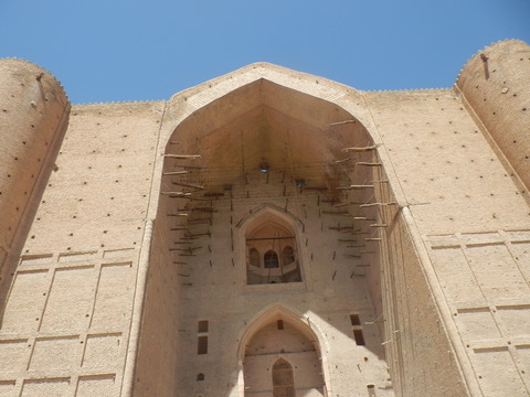 P8091363