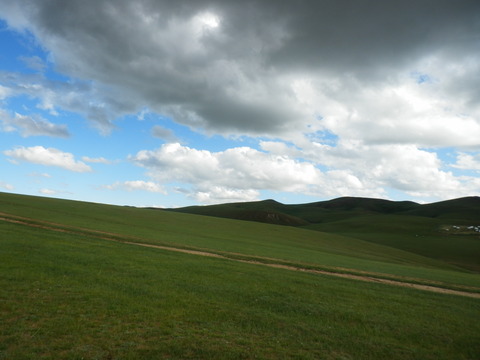 P8010023