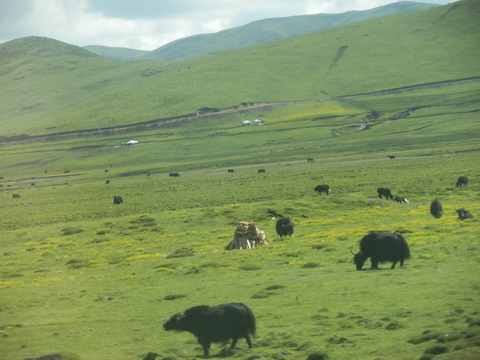 P7110508