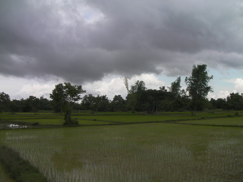 SANY0035