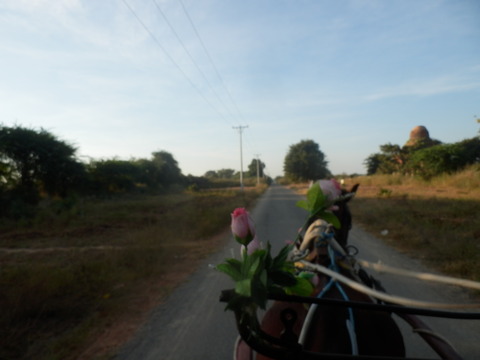 P1010258