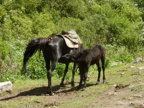 P7120692