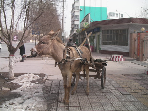 SANY0222