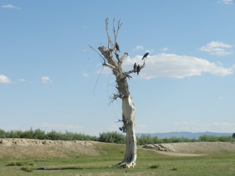 IMAGE000