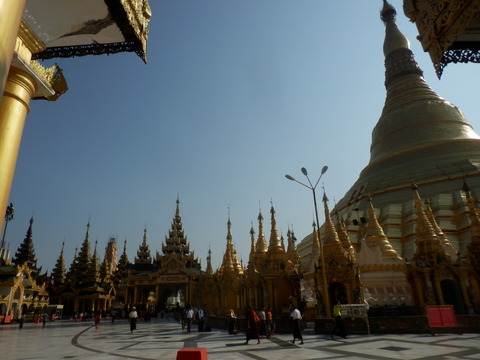 P1311309