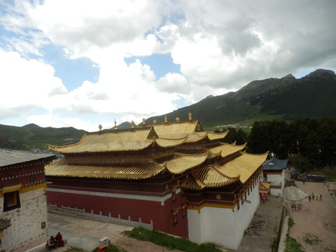 P7110568
