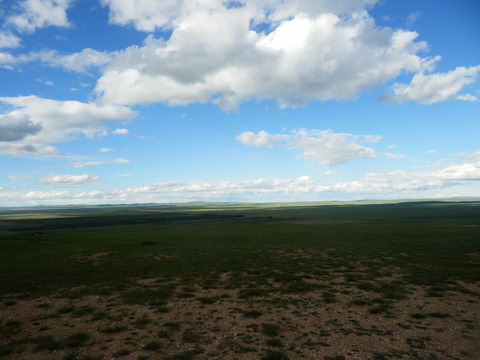 P8010046