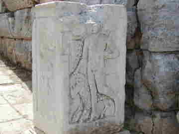 efes71