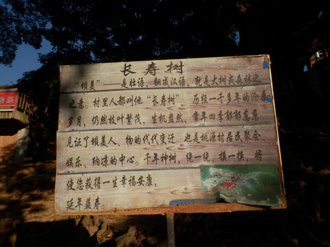 P1211031