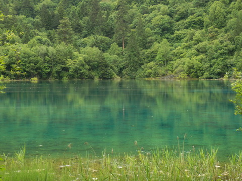 P7090121