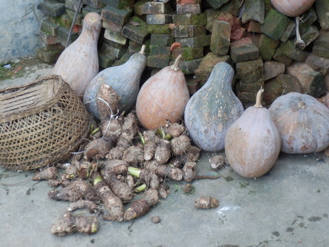 P1220011