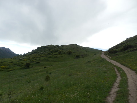 P7110625