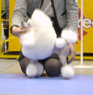 P1230328