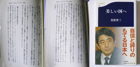 美しい国から 2006年