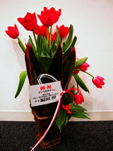 inbe-3