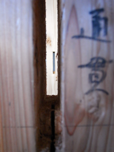 RIMG4868